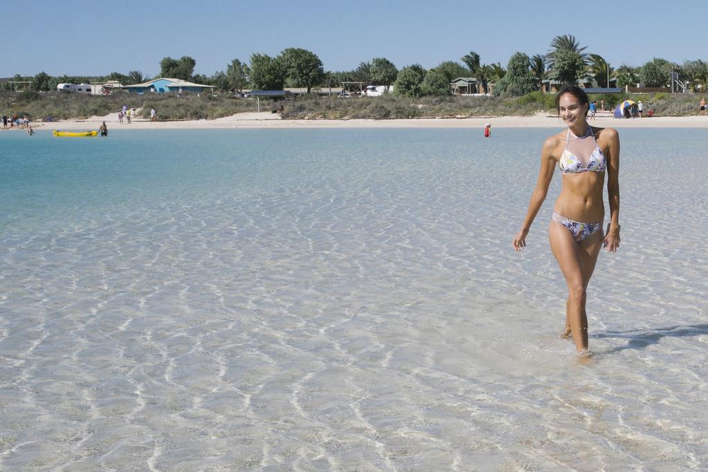 Ningaloo Reef Resort Coral Bay Zewnętrze zdjęcie