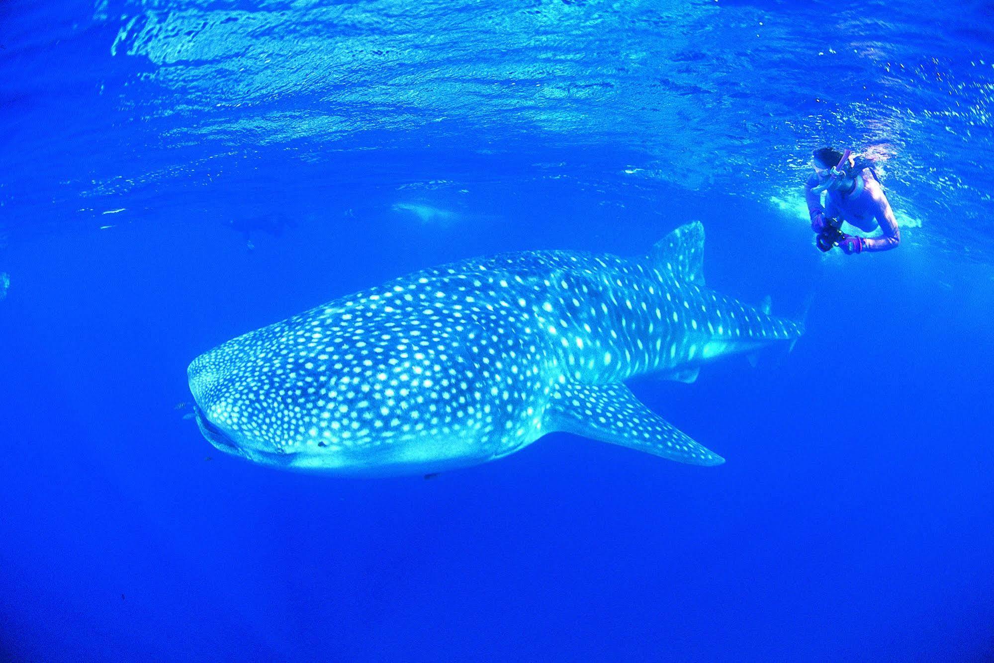 Ningaloo Reef Resort Coral Bay Zewnętrze zdjęcie